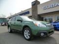 2014 Cypress Green Pearl Subaru Outback 2.5i Premium  photo #1