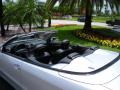 Iridium Silver Metallic - CLK 350 Cabriolet Photo No. 10