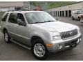 Silver Birch Metallic - Mountaineer Premier AWD Photo No. 3