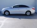 Radiant Silver - Sonata GLS Photo No. 6