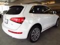 Glacier White Metallic - Q5 2.0 TFSI quattro Hybrid Photo No. 2