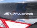 Phantom Black Metallic - Sonata GLS Photo No. 13