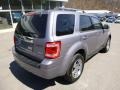 Tungsten Grey Metallic - Escape Limited 4WD Photo No. 2