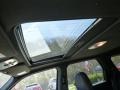 Tungsten Grey Metallic - Escape Limited 4WD Photo No. 21