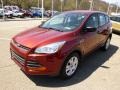 2014 Sunset Ford Escape S  photo #4