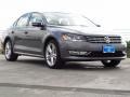 2014 Platinum Gray Metallic Volkswagen Passat TDI SEL Premium  photo #1