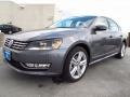 2014 Platinum Gray Metallic Volkswagen Passat TDI SEL Premium  photo #3