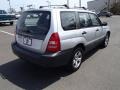 Platinum Silver Metallic - Forester 2.5 X Photo No. 7