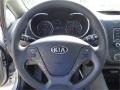 Gray Steering Wheel Photo for 2014 Kia Forte #92756185