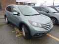 Opal Sage Metallic - CR-V EX-L 4WD Photo No. 1