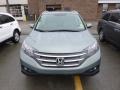 Opal Sage Metallic - CR-V EX-L 4WD Photo No. 2