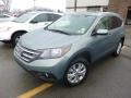 2012 Opal Sage Metallic Honda CR-V EX-L 4WD  photo #3