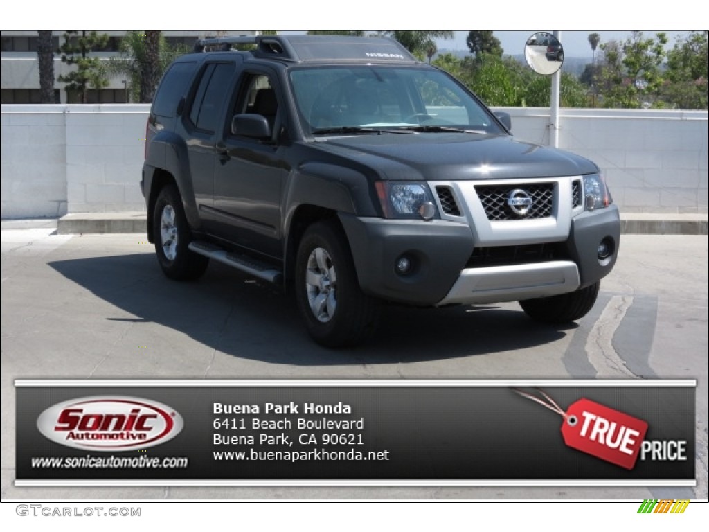 Night Armor Metallic Nissan Xterra