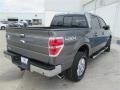 Sterling Grey - F150 XLT SuperCrew 4x4 Photo No. 5