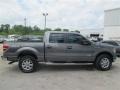 Sterling Grey - F150 XLT SuperCrew 4x4 Photo No. 6