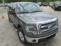 2014 Sterling Grey Ford F150 XLT SuperCrew 4x4  photo #8