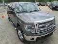 Sterling Grey - F150 XLT SuperCrew 4x4 Photo No. 8