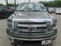 2014 Sterling Grey Ford F150 XLT SuperCrew 4x4  photo #9