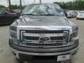 Sterling Grey - F150 XLT SuperCrew 4x4 Photo No. 9