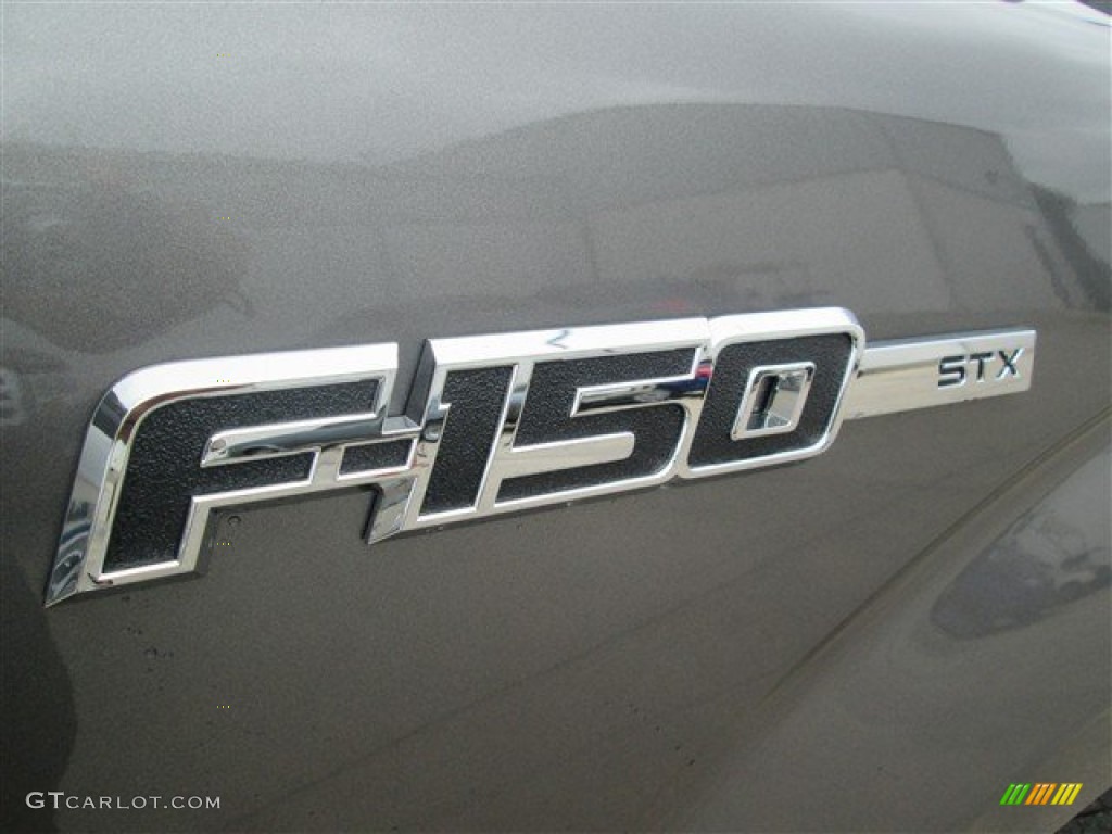 2014 F150 STX SuperCrew - Sterling Grey / Steel Grey photo #7