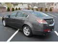 2009 Polished Metal Metallic Acura TL 3.5  photo #34