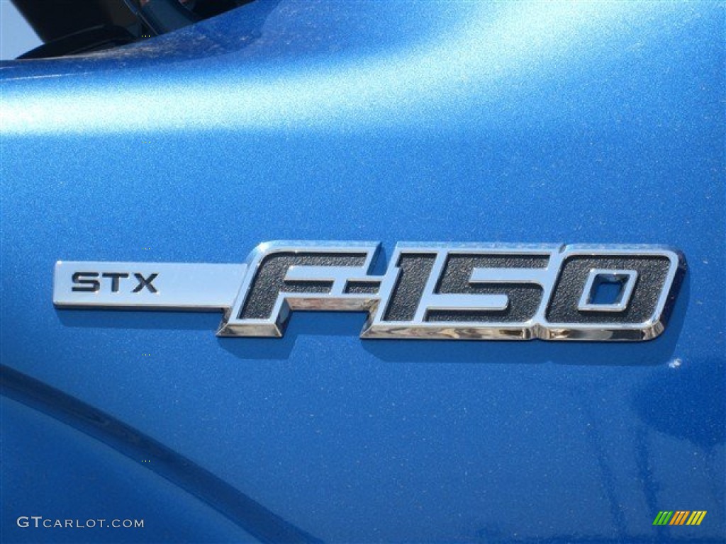 2014 F150 STX SuperCrew 4x4 - Blue Flame / Black photo #4