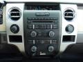 Pale Adobe Controls Photo for 2012 Ford F150 #92798130