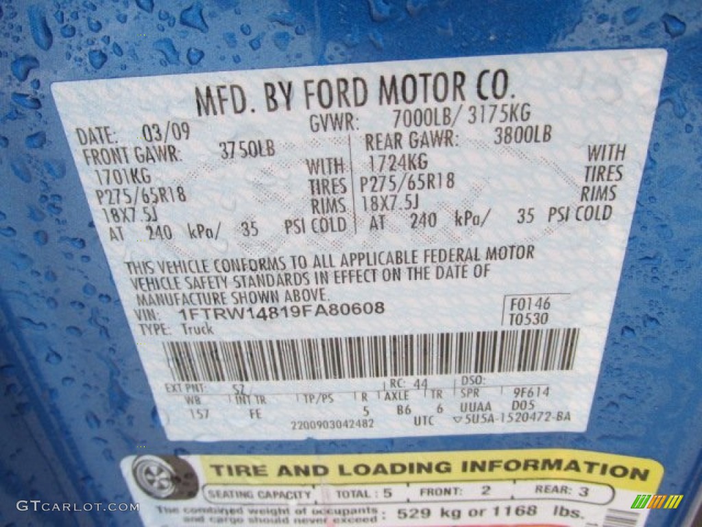 2009 F150 Color Code SZ for Blue Flame Metallic Photo #92801823