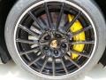 2014 Porsche Panamera Turbo S Executive Wheel and Tire Photo