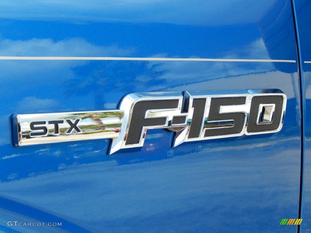 2014 F150 STX SuperCrew - Blue Flame / Black photo #5