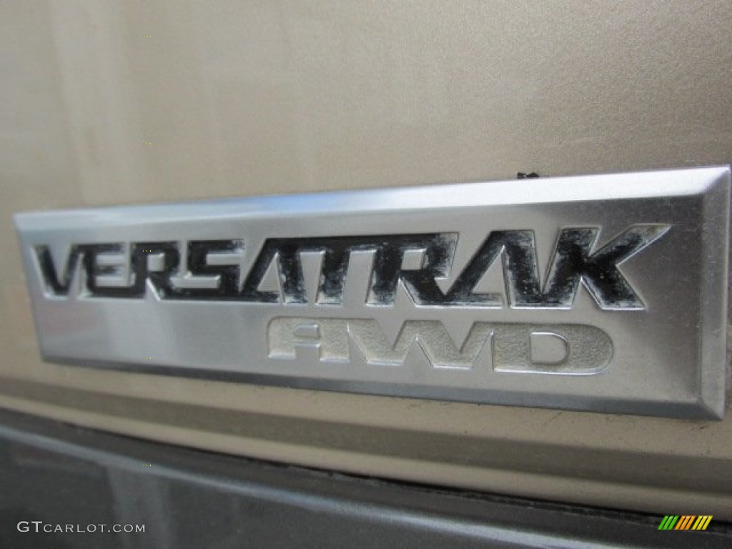 2003 Rendezvous CX AWD - Light Driftwood Metallic / Medium Oak photo #9