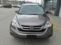 2010 Urban Titanium Metallic Honda CR-V EX AWD  photo #5