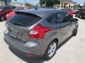 2014 Sterling Gray Ford Focus SE Hatchback  photo #5