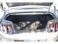 Ingot Silver - Mustang V6 Convertible Photo No. 21