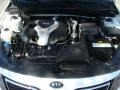 Snow White Pearl - Optima SX Photo No. 29