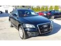 Brilliant Black - Q5 3.2 quattro Photo No. 1