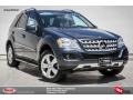 Steel Grey Metallic - ML 350 Photo No. 1