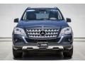 Steel Grey Metallic - ML 350 Photo No. 2