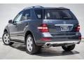 Steel Grey Metallic - ML 350 Photo No. 10