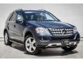 Steel Grey Metallic - ML 350 Photo No. 12