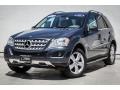 Steel Grey Metallic - ML 350 Photo No. 13