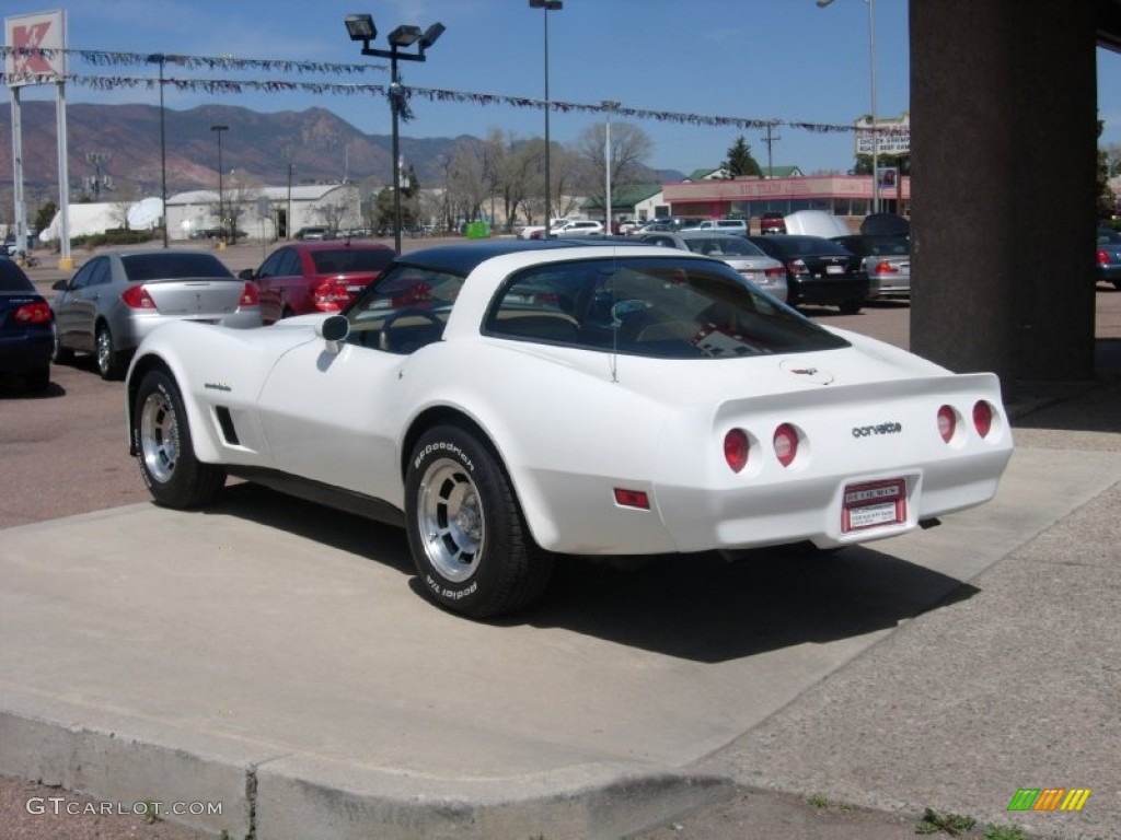 1982 Corvette Coupe - White / Camel photo #9