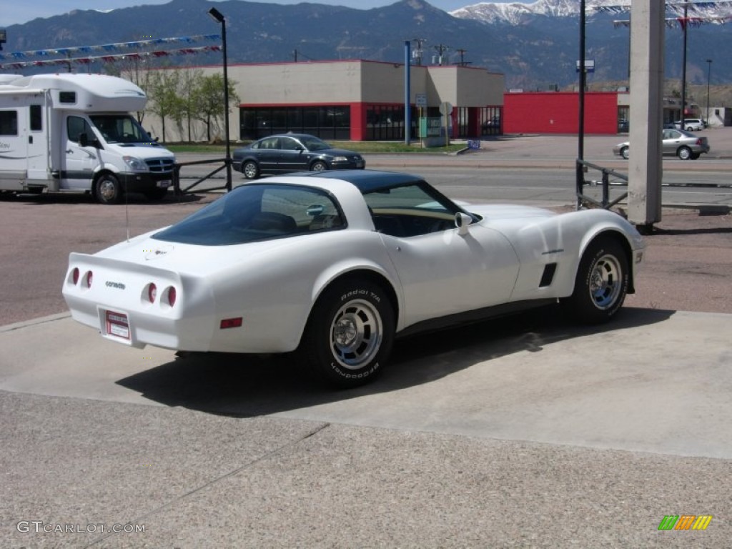 1982 Corvette Coupe - White / Camel photo #11