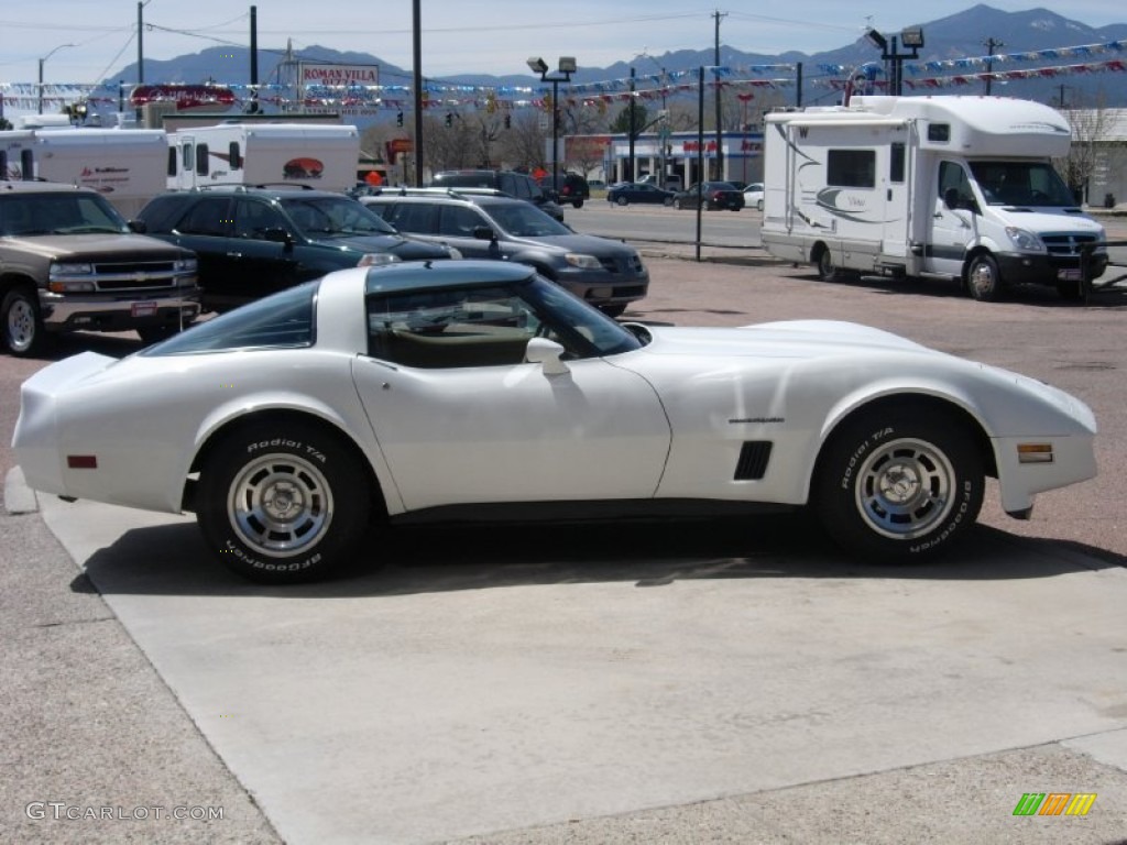 1982 Corvette Coupe - White / Camel photo #12