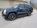 Blue Chip - Escalade AWD Photo No. 8