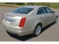 Silver Coast Metallic - CTS Sedan Photo No. 5
