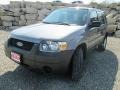 Tungsten Grey Metallic - Escape XLS 4WD Photo No. 2