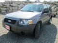 2007 Tungsten Grey Metallic Ford Escape XLS 4WD  photo #2