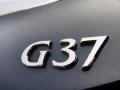 Blue Slate - G 37 Journey Coupe Photo No. 21