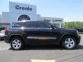 Blackberry Pearl - Grand Cherokee Laredo Photo No. 8